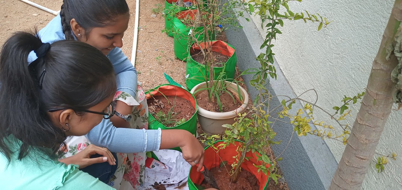 Don Bosco Green Alliance Jun 8, 2023 – Jan 22, 2024